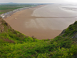 Gully and beach