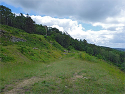 Grassland path