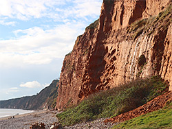 Vegetation below a cliff