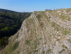 Limestone layers