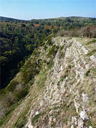 Dolebury Warren