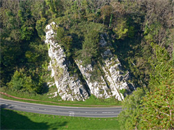 Limestone outcrop