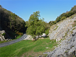 Grassland beside the road