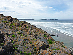 Lichen-covered rocks