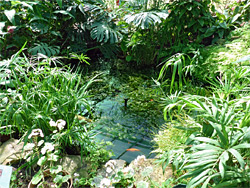 Fish pond