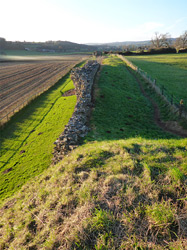 South wall, from the motte
