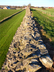 West wall, looking north