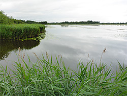 Edge of Canada Lake