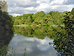 Cannop Pond