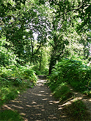 Path to the reserve
