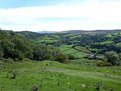 Slope below the entrance