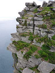 Layered cliff