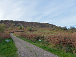 Road near Castlemorton Common