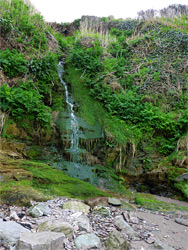 Mossy waterfall