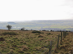 Fence and field