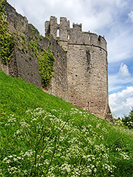 Marten's tower