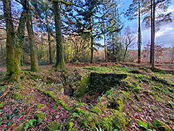 Moss-covered ruin