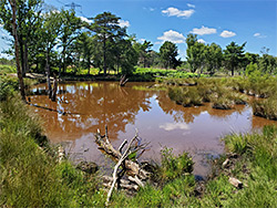 Glovers Pond