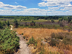 Path across the heath