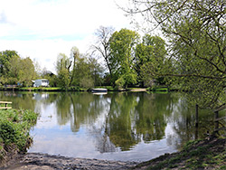 Ferry site