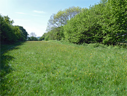 West field