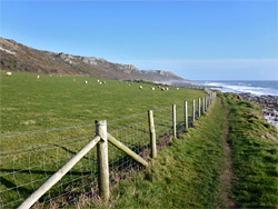 Field and fence