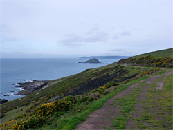 Path above Long Cove
