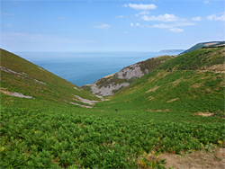 Coddow Combe