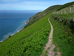 Path and fence