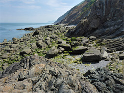 Seaweed-covered rocks