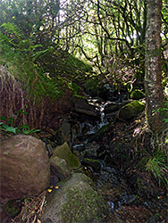 Stream and boulders