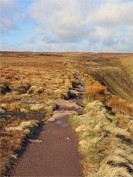 Ridgeline path