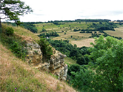 Limestone outcrop