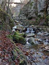 Stream and boulders