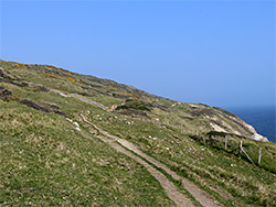 The coast path