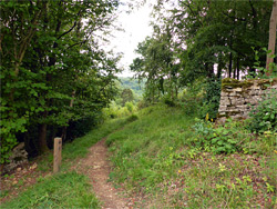 Path through woodland