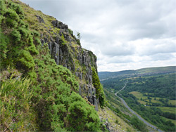 Bushy cliffs