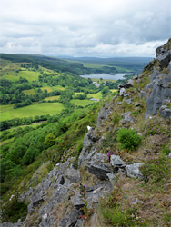 Limestone outcrops