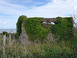 Ivy-covered ruin