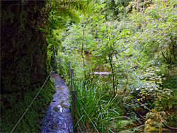 Path and bridge