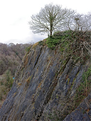 Dinas Rock