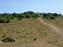 Path across the hillfort
