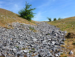 Rock pathway