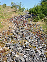 Limestone fragments