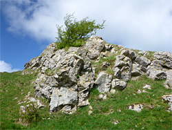 Rocky outcrop