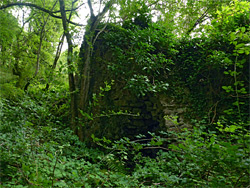 Overgrown limekiln