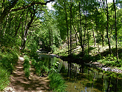 Riverside path