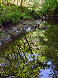 Reflections on the river