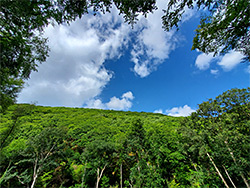 Clouds and sky