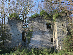 East side of the mansion